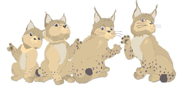 Vier illustrierte Luchse sitzen und schauen nach hinten